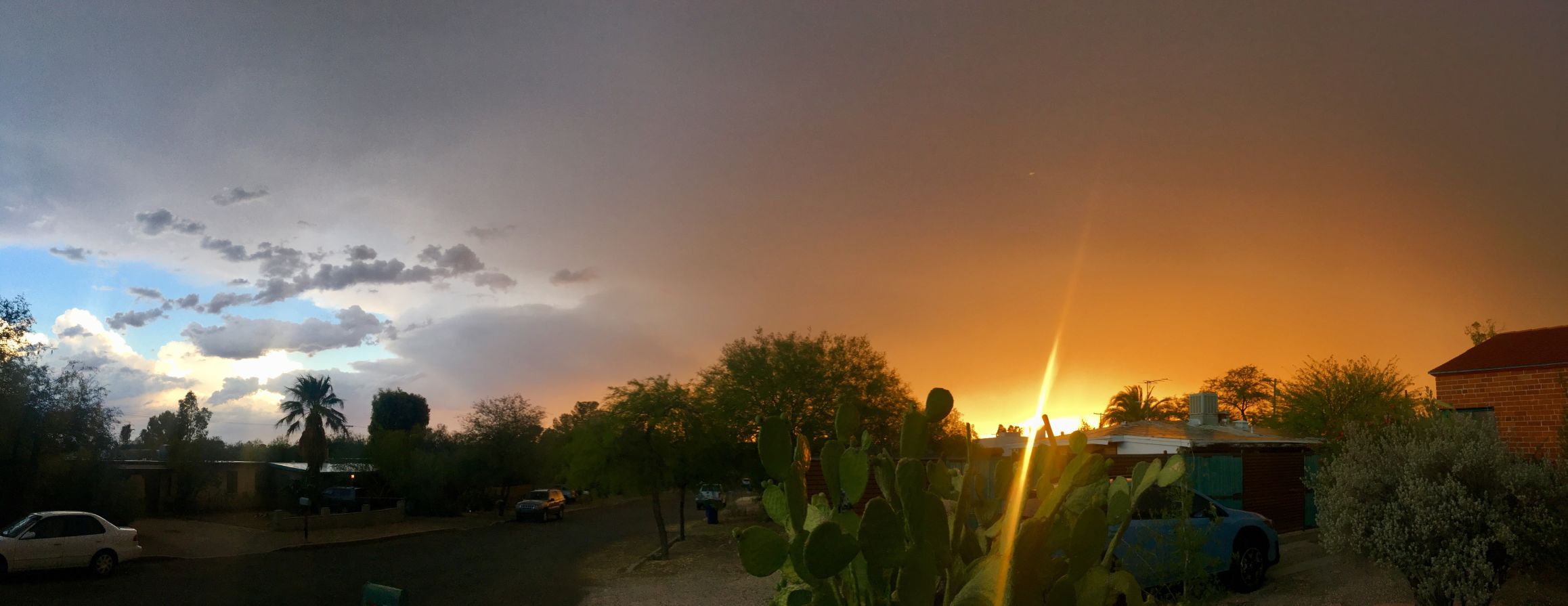 Monsoon Swoon
